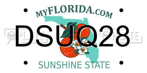 DSUQ28 Florida License Plate