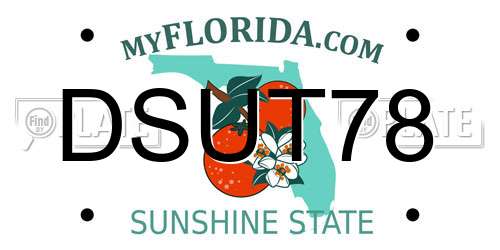 DSUT78 Florida License Plate
