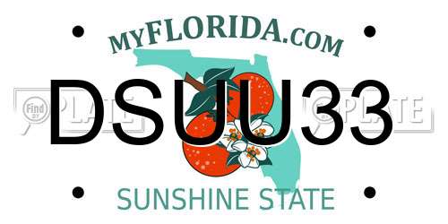 DSUU33 Florida License Plate