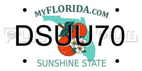DSUU70 Florida License Plate