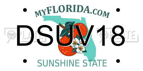 DSUV18 Florida License Plate
