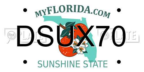 DSUX70 Florida License Plate