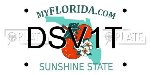DSV1T Florida License Plate