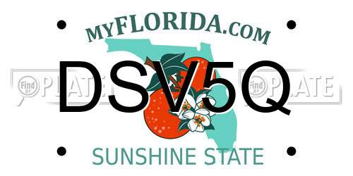 DSV5Q Florida License Plate
