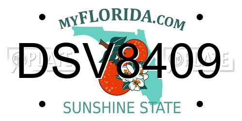DSV8409 Florida License Plate