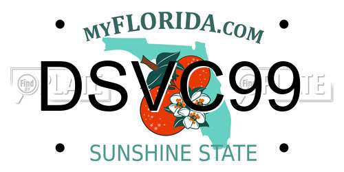 DSVC99 Florida License Plate