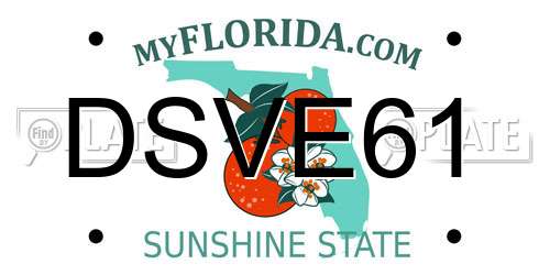 DSVE61 Florida License Plate