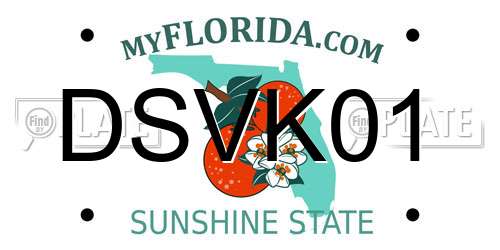 DSVK01 Florida License Plate