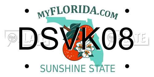 DSVK08 Florida License Plate