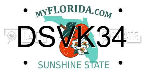 DSVK34 Florida License Plate