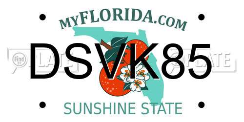 DSVK85 Florida License Plate