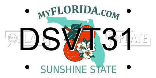 DSVT31 Florida License Plate