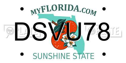 DSVU78 Florida License Plate