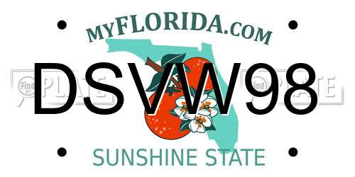 DSVW98 Florida License Plate