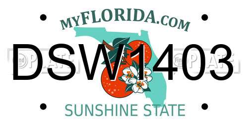 DSW1403 Florida License Plate