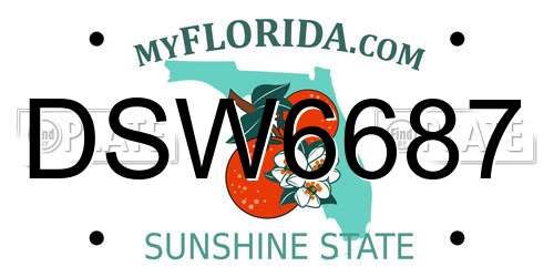 DSW6687 Florida License Plate