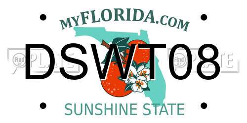 DSWT08 Florida License Plate