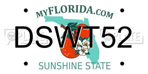 DSWT52 Florida License Plate