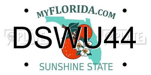 DSWU44 Florida License Plate
