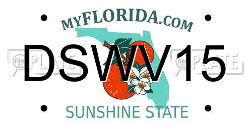 DSWV15 Florida License Plate