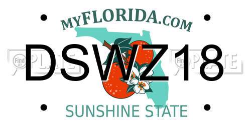 DSWZ18 Florida License Plate