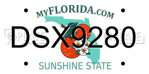 DSX9280 Florida License Plate