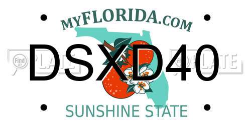 DSXD40 Florida License Plate