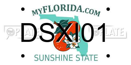 DSXI01 Florida License Plate