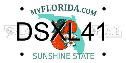 DSXL41 Florida License Plate