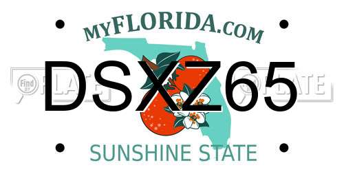 DSXZ65 Florida License Plate