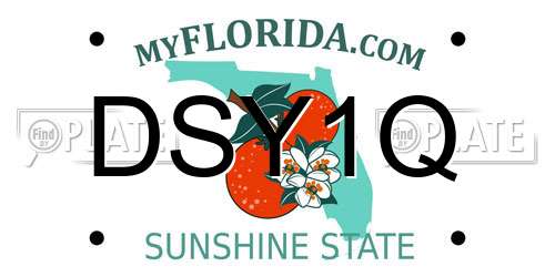 DSY1Q Florida License Plate