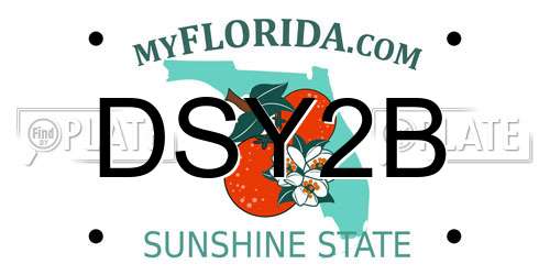 DSY2B Florida License Plate