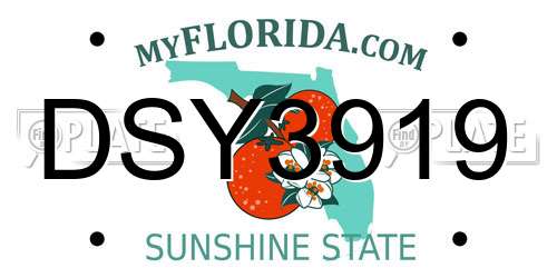 DSY3919 Florida License Plate