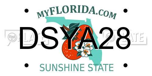 DSYA28 Florida License Plate