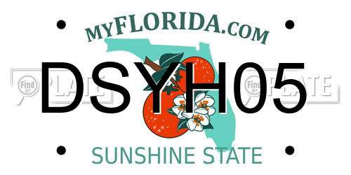DSYH05 Florida License Plate