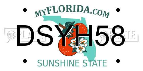 DSYH58 Florida License Plate