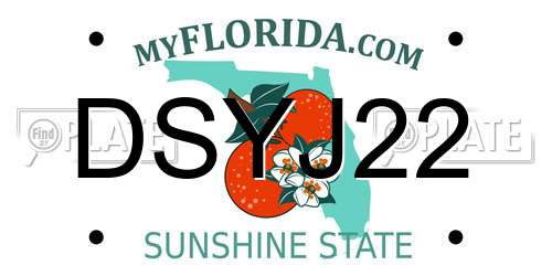 DSYJ22 Florida License Plate