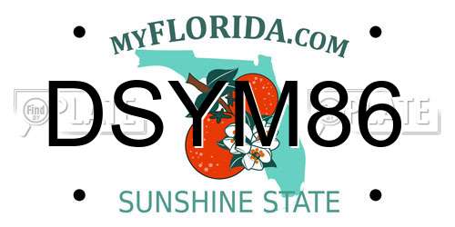 DSYM86 Florida License Plate