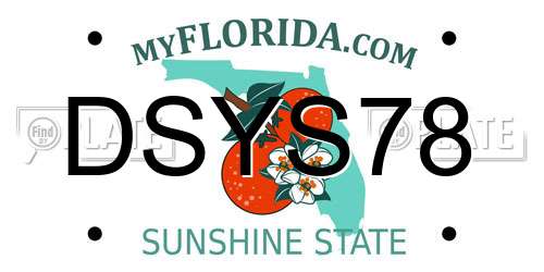 DSYS78 Florida License Plate