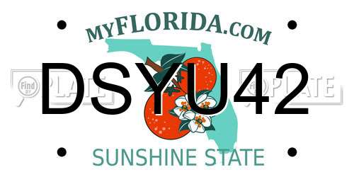 DSYU42 Florida License Plate