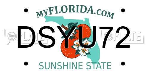 DSYU72 Florida License Plate