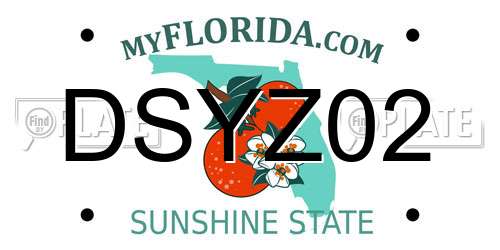 DSYZ02 Florida License Plate