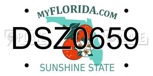DSZ0659 Florida License Plate