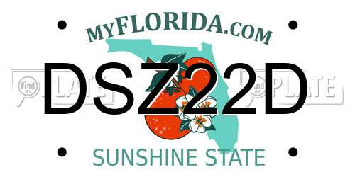 DSZ22D Florida License Plate