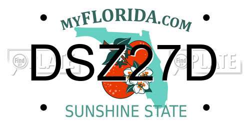 DSZ27D Florida License Plate