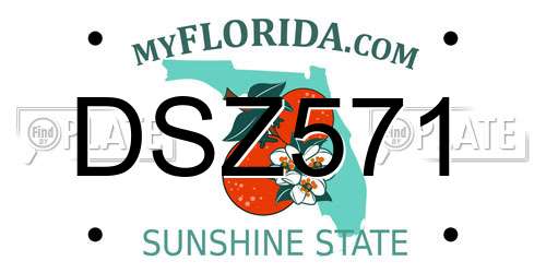 DSZ571 Florida License Plate