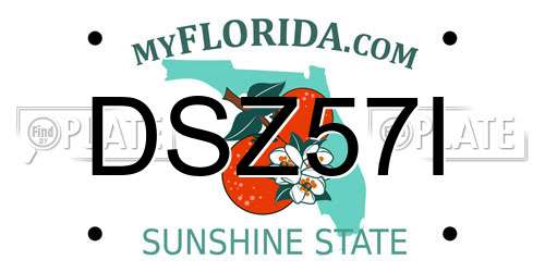 DSZ57I Florida License Plate