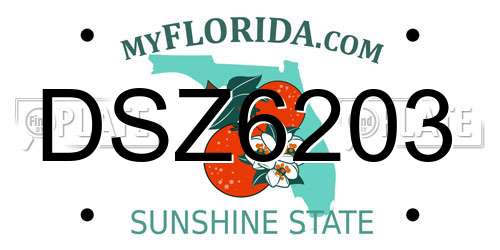 DSZ6203 Florida License Plate