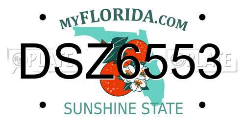 DSZ6553 Florida License Plate