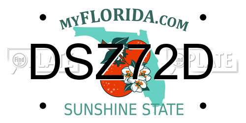 DSZ72D Florida License Plate